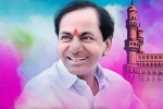 trs victory, Indians abroad, nris in saudi celebrate trs victory, Telangana assembly elections