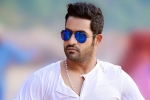 NTR latest, NTR, ntr s jai lava kusa updates, Nannaku prematho