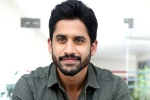 Naga Chaitanya updates, Naga Chaitanya upcoming movies, naga chaitanya coming up with a strong lineup of films, Naandhi