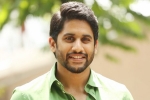 Naga Chaitanya next movie, Naga Chaitanya new film, naga chaitanya signs his next, Savyasachi