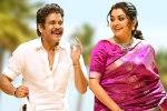 Bangarraju release updates, Bangarraju breaking updates, nagarjuna s bangarraju turns hot among sankranthi releases, Ashok galla Bangarraju release updates, Bangarraju breaking updates, nagarjuna s bangarraju turns hot among sankranthi releases, Ashok galla