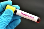 Nipah Virus in Kerala, Nipah Virus - Kozhikode, nipah virus is back again two deaths registered, Natural death