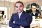 Nehal Deepak Modi in USA, Nehal Deepak Modi new breaking, nirav modi s brother arrested in usa, Us nsa