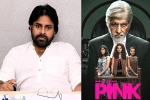 Pawan Kalyan remake, Pawan Kalyan new film, powerstar in talks for pink remake, Pink remake