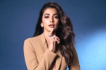 Pooja Hegde next films, Pooja Hegde remuneration, pooja hegde lines up bollywood films, Pooja hegde