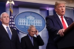 cdc, cdc, quarantine will not be necessary president trump about new york lockdown, Andrew cuomo