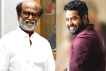 Rajinikanth and NTR news, Kannada Ratna, rajinikanth and ntr coming for kannada rajyotsava, Puneeth rajkumar