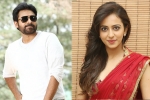 Rakul Preet Singh next movie, Rakul Preet Singh news, rakul rejects pawan s film, Katamrayudu