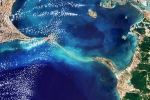 Ram Setu pictures latest, Ram Setu pictures, ram setu s pictures from the space, Ram setu pictures