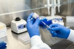 New Ebola Outbreak vaccine, New Ebola Outbreak 2026, russia claims breakthrough vaccine against new ebola outbreak, Trai ai New Ebola Outbreak vaccine, New Ebola Outbreak 2026, russia claims breakthrough vaccine against new ebola outbreak, Trai ai
