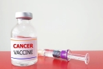 Russia Cancer Vaccine feedback, Russia Cancer Vaccine 2025, russia claims cancer vaccine discovery oncologists sceptical, Vaccine