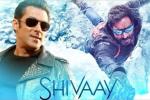 Salman Khan, Salman Khan latest, salman khan to promote shivaay, Big boss