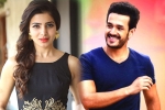 Samantha latest updates, Samantha upcoming release, samantha and akhil to clash in august, Bollywood films Samantha latest updates, Samantha upcoming release, samantha and akhil to clash in august, Bollywood films