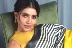 Samantha with Vicky Kaushal, Samantha breaking updates, samantha in talks for one more bollywood film, Hindi movies