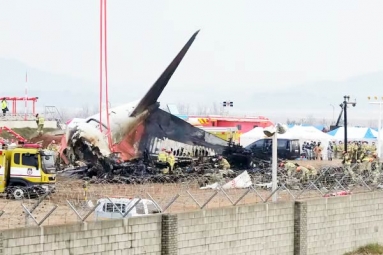 Pilot made ‘mayday’ call and mentioned bird strike in South Korea Plane Crash