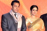 Sridevi new film, Sridevi new film, sridevi to work with salman khan, English vinglish