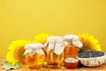 Sunflower Oil breaking, Sunflower Oil for heart, long term effects of consuming sunflower oil on heart health, Cancer