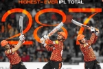 Sunrisers Hyderabad, IPL 2024, sunrisers hyderabad scripts history in ipl, Royal challengers bangalore