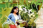 NRI, gourd, this nri in qatar keen on farming is going green, B m kutty