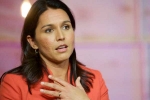 tulsi gabbard twitter, tulsi gabbard apologizes, tulsi gabbard apologizes for her past statement on lgbtq, Gay rights