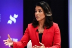 tulsi gabbard sues google, US presidential candidate, u s presidential candidate tulsi gabbard sues google for hindering her campaign, Elizabeth warren