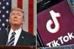 tik tok, ban, after india us may consider ban of chinese apps, Chinese apps