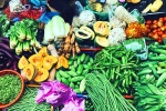 Vegetables in Monsoon experts, Vegetables in Monsoon experts, have these vegetables in monsoon for a better health, Monsoon season