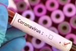 Cure for coronavirus, COVID-19 lockdown, who warns covid 19 may never go away then what s the future of the world, U s federal reserve Cure for coronavirus, COVID-19 lockdown, who warns covid 19 may never go away then what s the future of the world, U s federal reserve