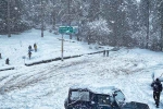 Winter Getaways India articles, Winter Getaways India breaking, unmissable getaways to visit in winter in india, Animal