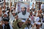 decade for Bin Laden death, Bin Laden death breaking news, bin laden continues to mobilize jihadists ten years after his death, Bin laden decade for Bin Laden death, Bin Laden death breaking news, bin laden continues to mobilize jihadists ten years after his death, Bin laden