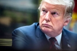 donald trump, tax return law in california, donald trump sues california over tax return law, Tax returns