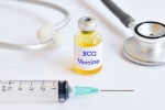 US scientists, coronavirus, bcg vaccination a possible game changer us scientists, Newborns