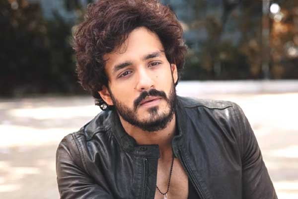 Nagarjuna's 100th Film will have Akhil in a Crucial role?